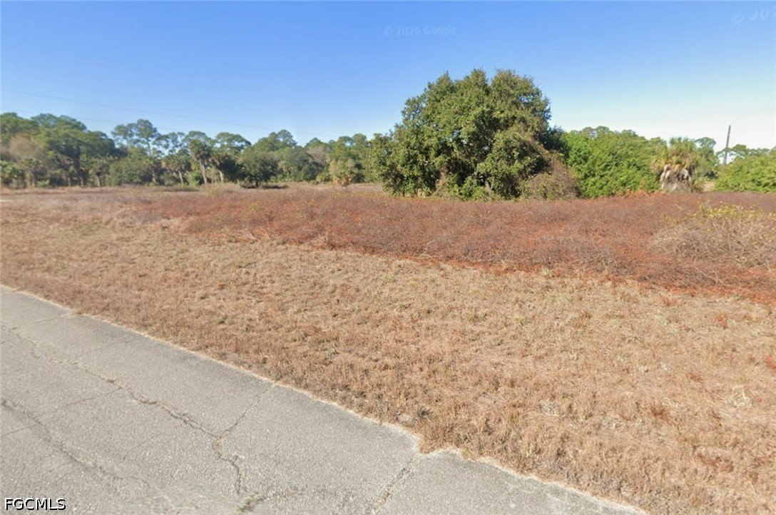 Residential Lot in LaBelle, FL
