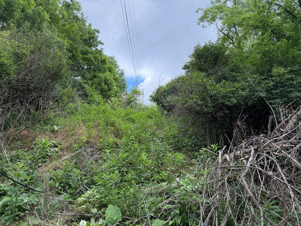 Picture 7