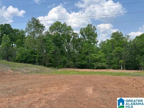 LAND/LOTS, ROANOKE, AL