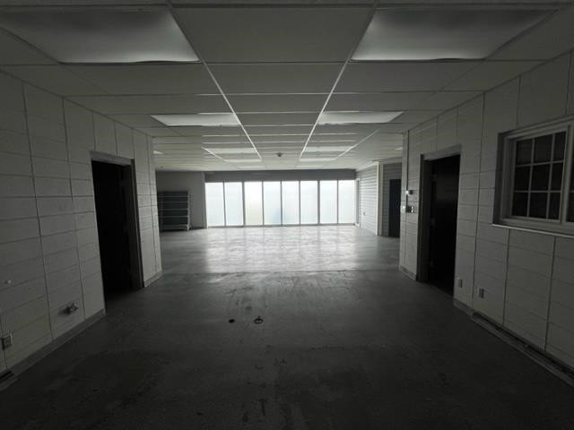 Picture 16