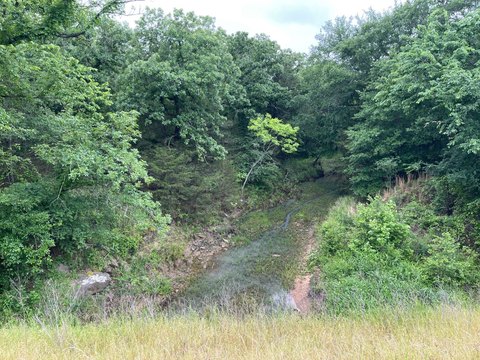 16 Acres Wooded Land Frontage