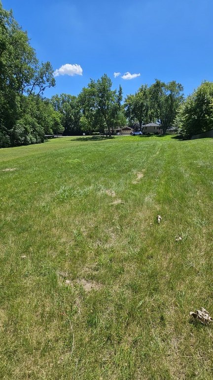 Picture 3