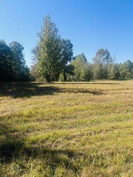 Land, HOLLADAY, TN