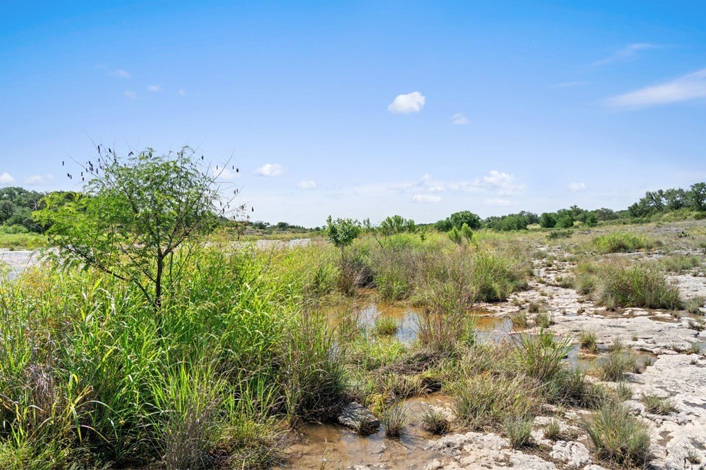 Picture 22