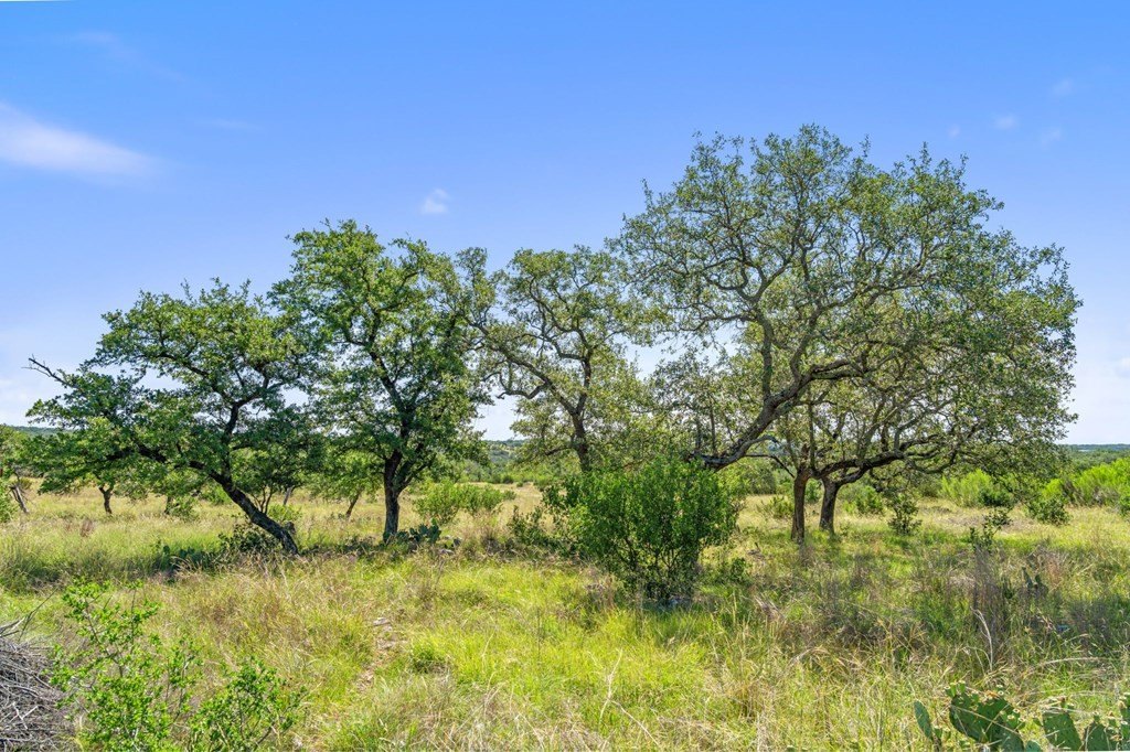 Picture 23