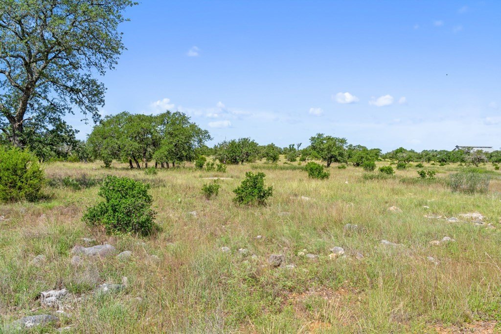 Picture 30