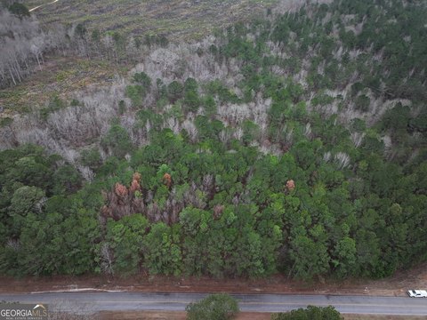 LAND - Franklin, GA