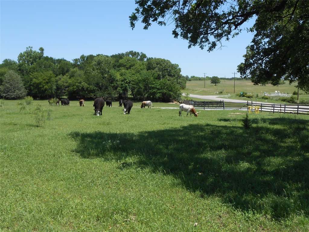 Picture 7
