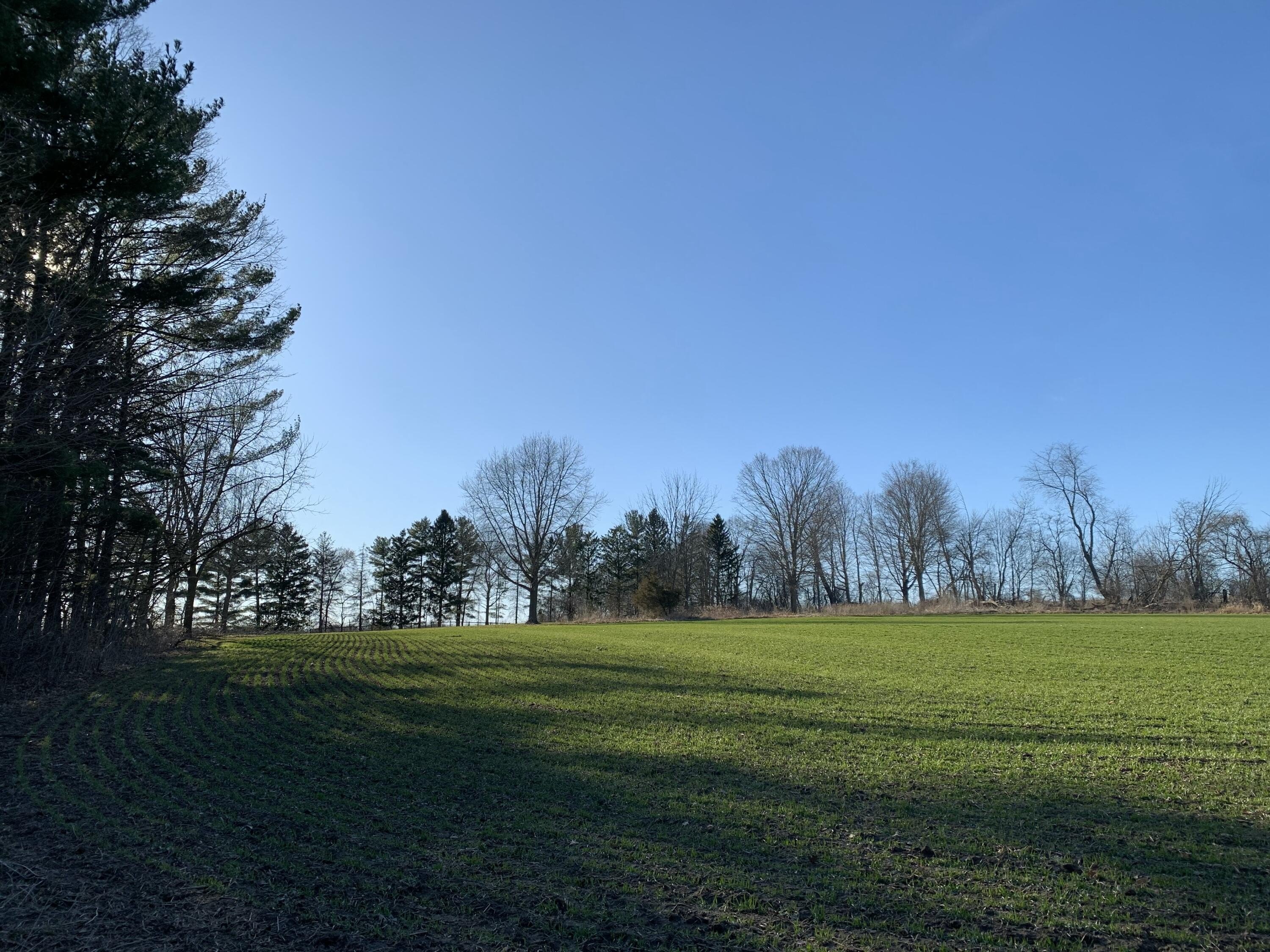 Land for Agriculture, Grazing, Residential