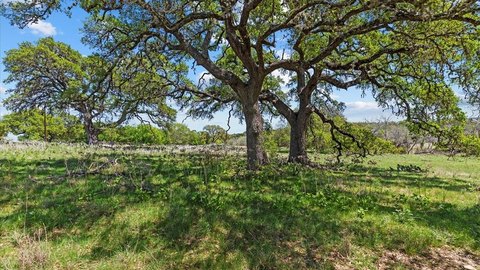 LAND - Blanco, TX