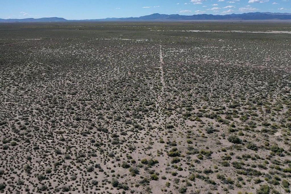 Picture 25