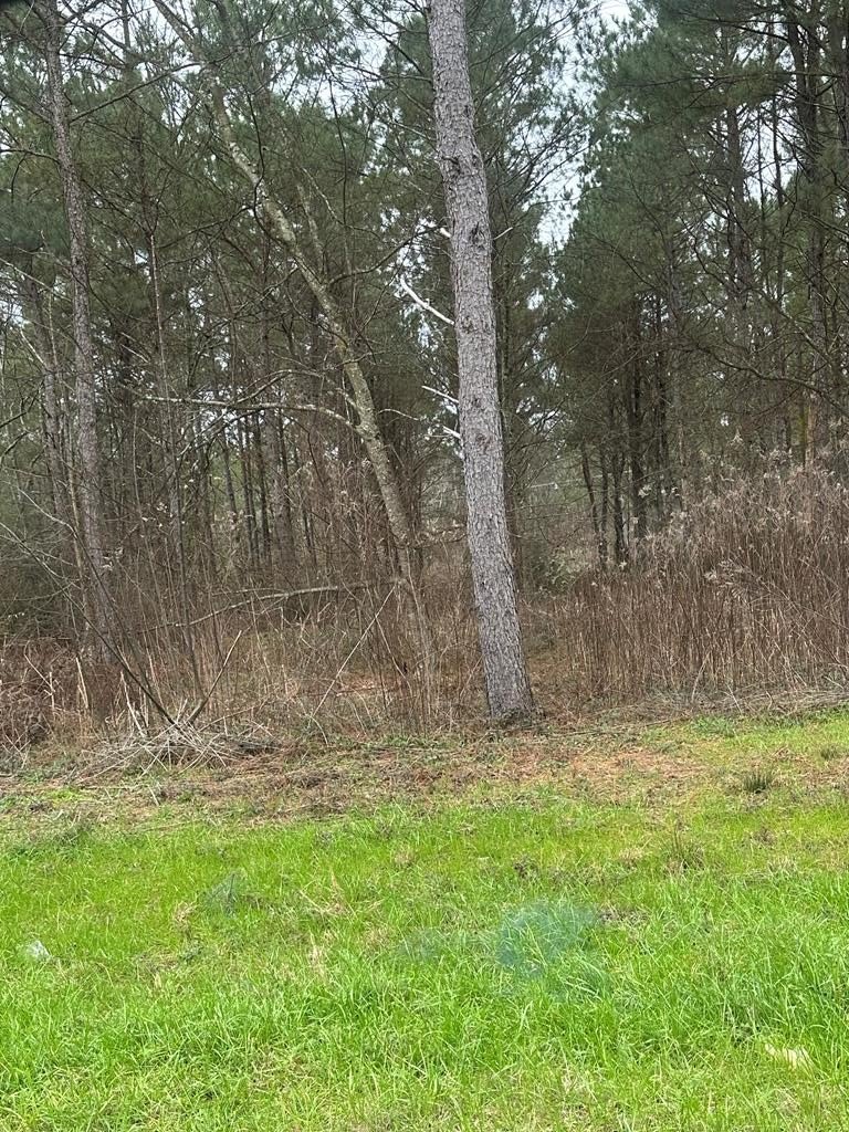 Ellisville Land in South Jones