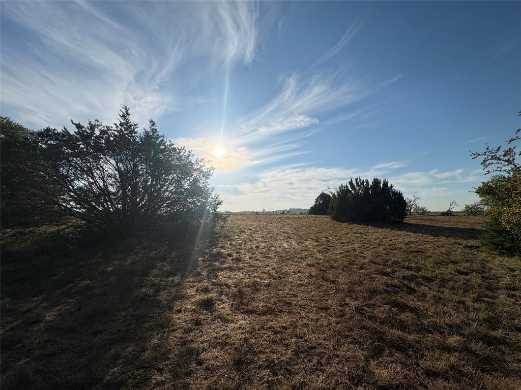 Picture 3