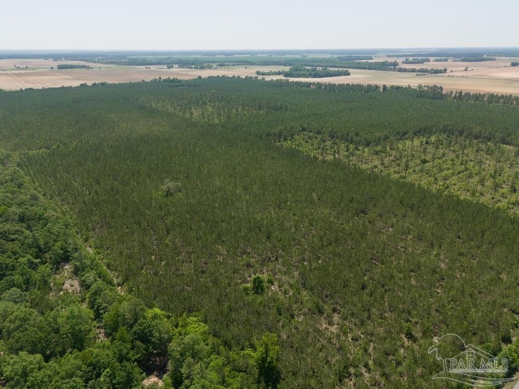 60 Acres in Jay, Florida