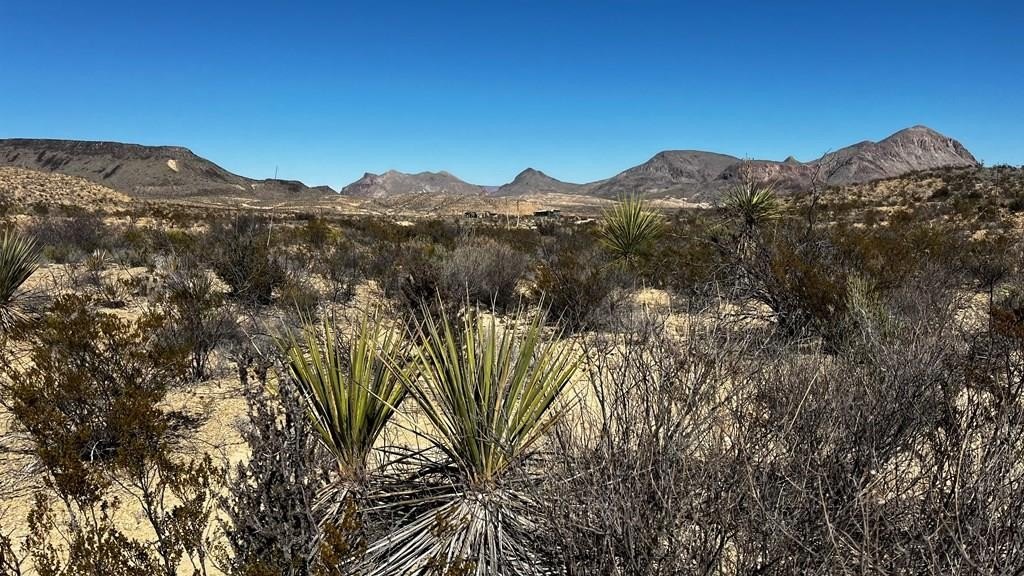 Terlingua Land For Sale