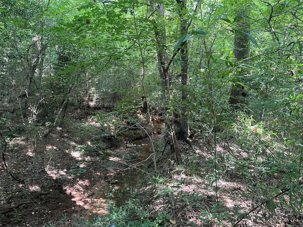 Picture 34