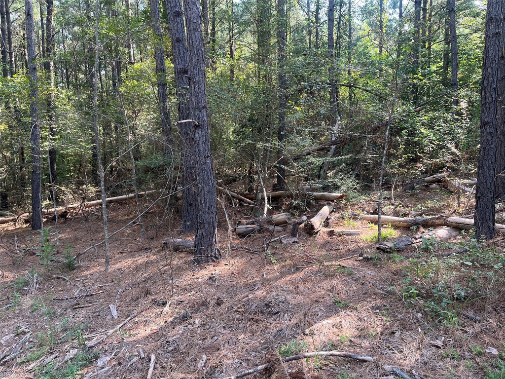 Picture 3