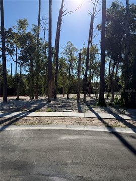 Land, PALM HARBOR, FL