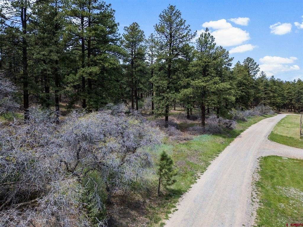 Land in Bayfield, Colorado