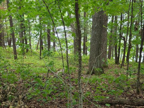 Land, Cumberland, WI