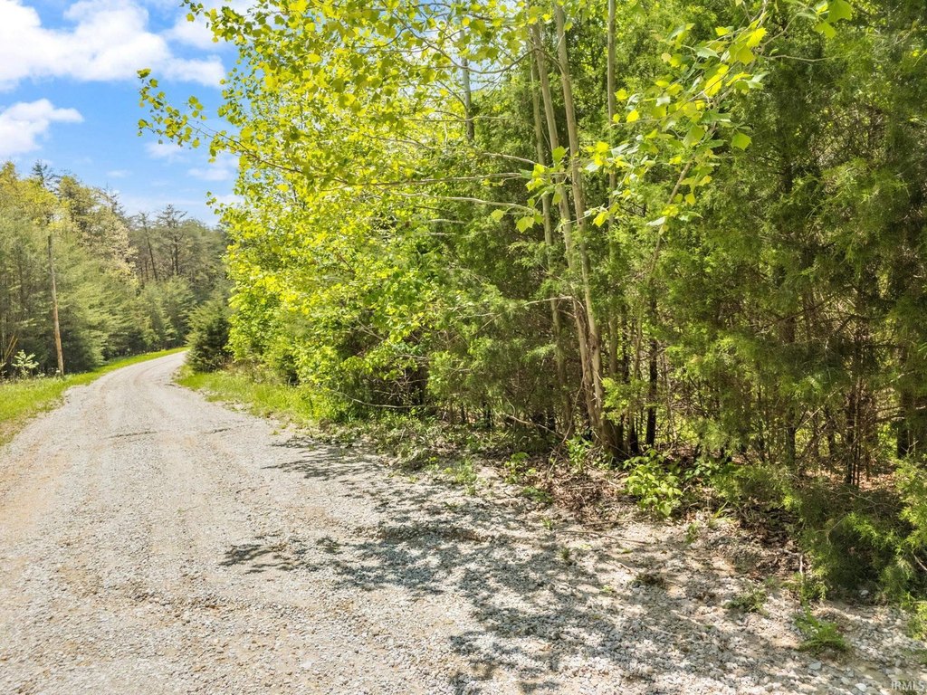 Picture 22
