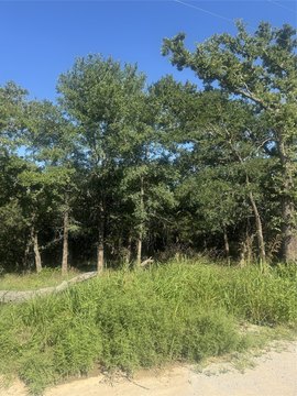 2.05 Acre Wooded Land