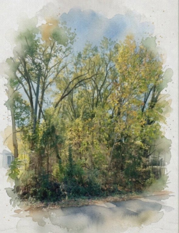 Picture 2