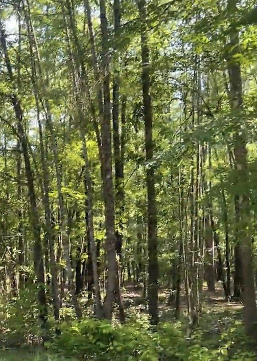 Picture 11