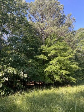 LAND - Magnolia, AR