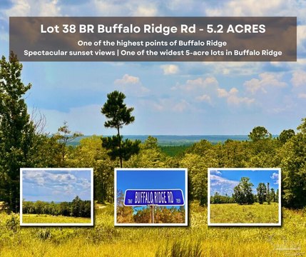 Pace, FL Land Homesite