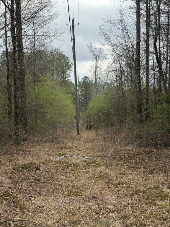 Picture 15
