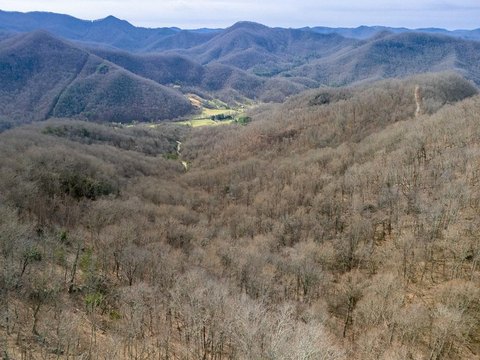 Wooded Mountain Land in Cullowhee