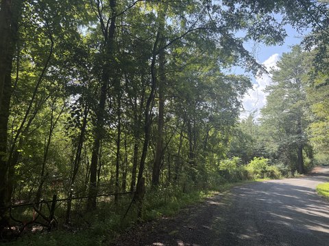 LAND - Calhoun, TN