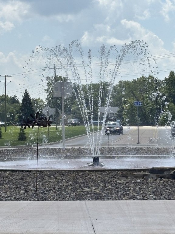 Picture 5