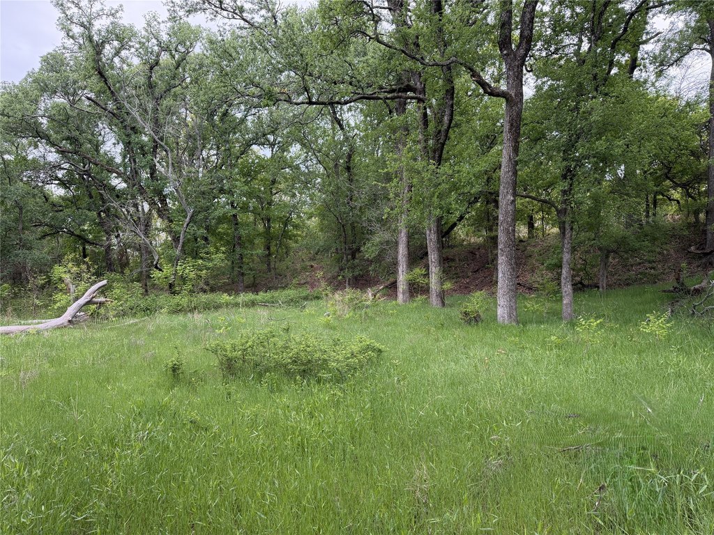 Picture 3
