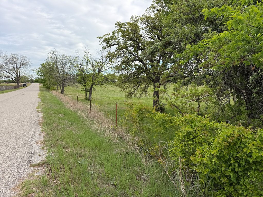 Picture 19