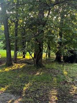 LAND - Afton, OK