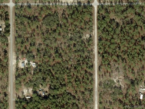 Land, Dunnellon, FL