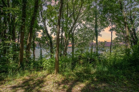 Dowagiac Waterfront Land Opportunity