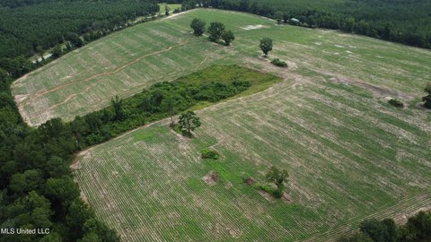 Expansive Farmland Parcel in Lucedale