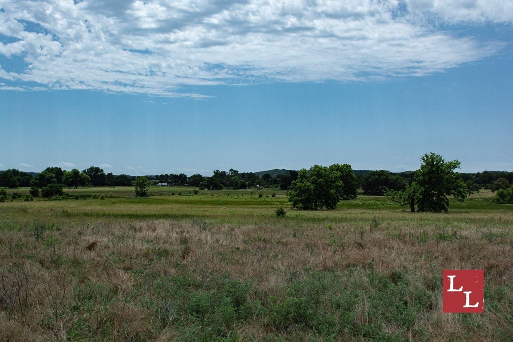 Picture 28
