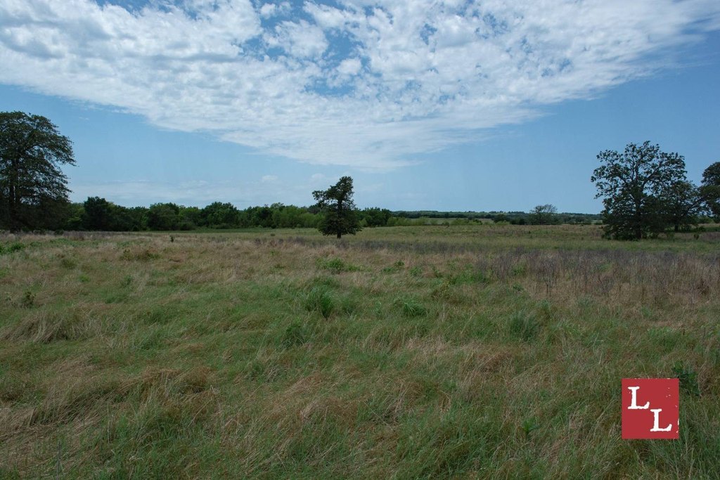 Picture 35