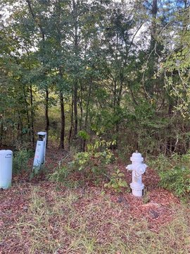 Residential Land in Stockbridge, GA