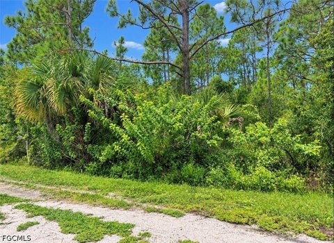 Land, Punta Gorda, FL