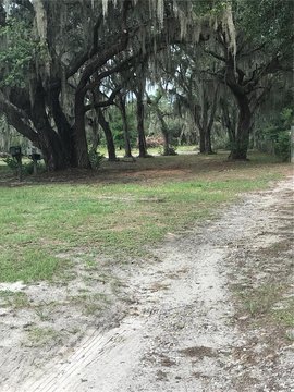 5-Acre Estate Home Lot