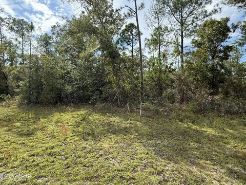 LAND - Alford, FL