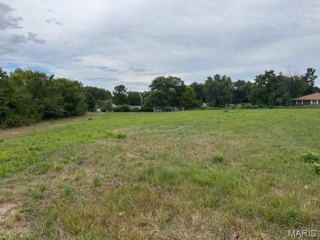 Picture 6