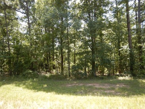 Land, Greensboro, GA