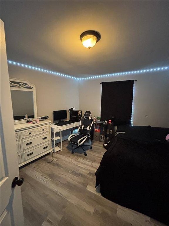 Picture 13