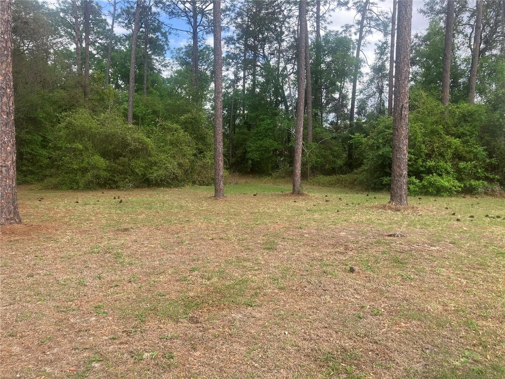 Picture 3